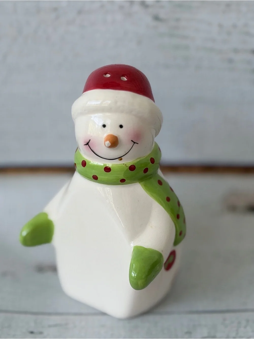 Holiday Snowman Salt & Pepper Shakers by